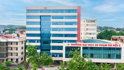 Maktab perguruan berhenti mempertimbangkan transkrip untuk kebanyakan jurusan.