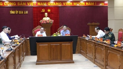 Gia Lai đề nghị Trung ương hỗ trợ 2.000 tỷ đồng sau 'thiên tai kép'