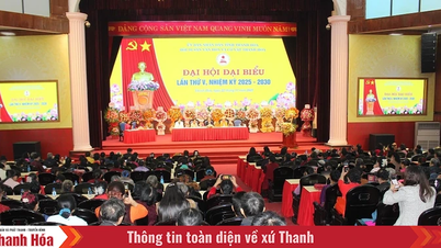 탄호아 문화유산 및 유물 협회 제5차 대의원 대회, 임기 2025-2030