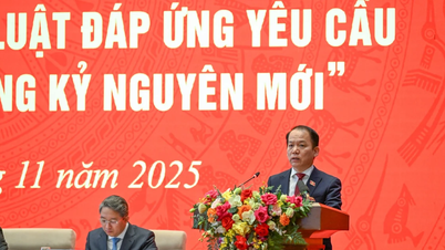 Het bouwen van een team van 'institutionele architecten' met een uitgebreid, interdisciplinair denkvermogen