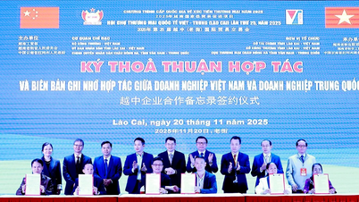 Expanding cooperation and attracting bilateral investment