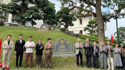12 uralte Bäume in Bac Ninh wurden als vietnamesische Kulturerbebäume anerkannt.