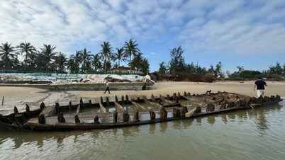 فوراً یک پروژه حفاری باستان‌شناسی برای منطقه‌ای که کشتی‌های باستانی در امتداد ساحل دانانگ کشف شده‌اند، راه‌اندازی کنید.