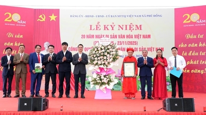 Phu Dong receives the Decision to recognize Vietnam Heritage Tree