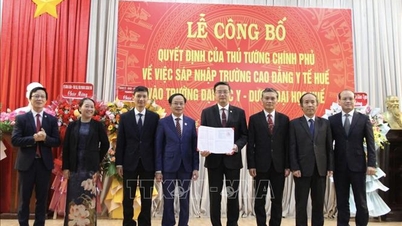 Hue Tıp Fakültesi'nin Hue Tıp ve Eczacılık Üniversitesi'ne bağlanması