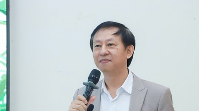 ダナン市が「ベトナム人人材育成」プロジェクトを発表