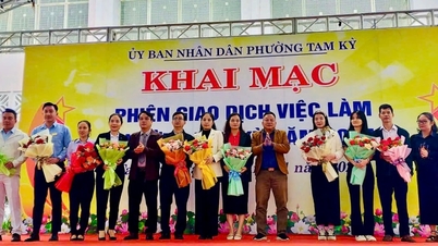 Mais de 10.000 vagas de emprego para trabalhadores no distrito de Tam Ky.