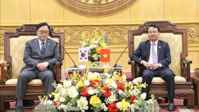 কোরিয়ার জাতীয় পরিষদের চেয়ারম্যান নিন বিন-এ কাজ করেন