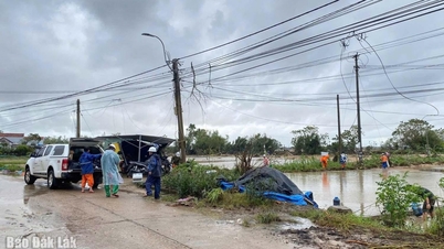 Huy động tối đa lực lượng, phương tiện, vật tư đẩy nhanh tiến độ khắc phục sự cố lưới điện