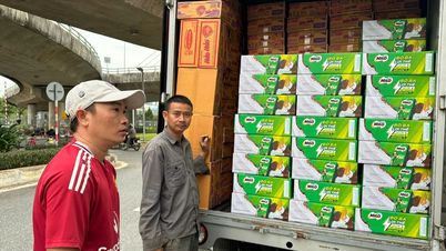 ដាណាង៖ រួមដៃគ្នាប្រមូលសម្ភារចាំបាច់សម្រាប់ផ្គត់ផ្គង់ប្រជាជននៅតំបន់លិចទឹកនៃភូមិភាគកណ្តាលភាគខាងត្បូង