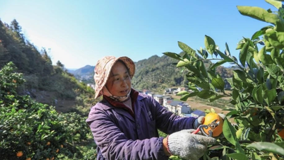 תמונה של חקלאים סינים עסוקים בשדות בתחילת החורף