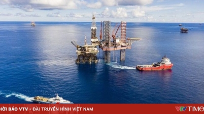 اقتراح آلية مالية خاصة للمجموعة الوطنية للطاقة والصناعة في فيتنام