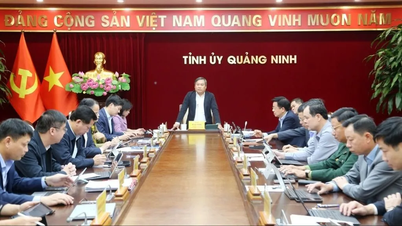 Куангнінь: Підтримайте Лам Донг на 50 мільярдів донгів для подолання наслідків повені