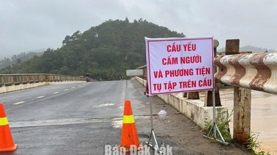 Traffic is prohibited through Giang Son Bridge on National Highway 27 due to bridge pier landslide.
