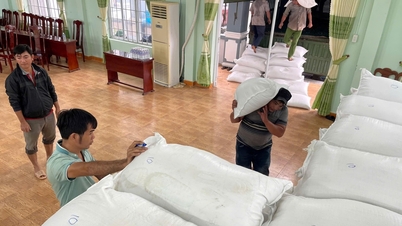 Phân bổ 160 tấn gạo hỗ trợ người dân các xã Tuy An Nam, Sơn Hòa