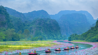 Melancarkan program "Pink Tam Coc 2025 - Autumn Sonata"