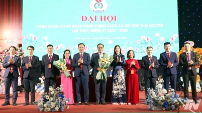 Melhorar a qualidade das operações, garantir os direitos dos trabalhadores.