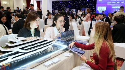 Kansen voor uitgebreide verbinding en samenwerking van Vietnam Travel Day 2025