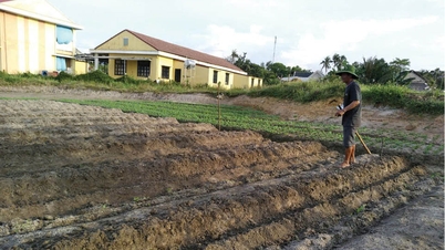 ভিন লোক পরিষ্কার কৃষি উন্নয়নের দিকে ঝুঁকছে