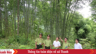 Mendukung masyarakat untuk mengembangkan hutan bambu secara berkelanjutan dan efektif