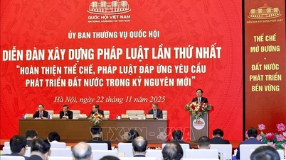 প্রাতিষ্ঠানিক সাফল্য জাতীয় উন্নয়নের পথ প্রশস্ত করে