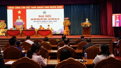 Mobilizing resources to support scholarships and humanitarian activities for Lao students