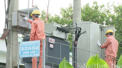 دور الاقتصاد الجماعي