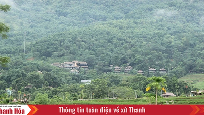 Menghilangkan kesulitan dan memanfaatkan keuntungan untuk mengembangkan pariwisata komunitas Pu Luong