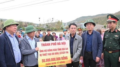 Hanoi, sel felaketinin etkilerinin üstesinden gelmek için Gia Lai eyaletine 50 milyar VND acil yardım sağladı
