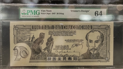 Ho Chi Minh City displays for the first time more than 1,500 Vietnamese currency artifacts from different periods