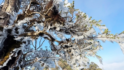 Vrchol Fansipan, Ta Xua pokrytý ledem a mrazem