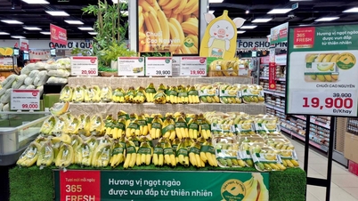 Zöld mezőgazdasági termékek eljuttatása a fogyasztókhoz