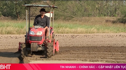 서둘러 밭으로 가세요. 겨울 작물 생산이 "중단"되지 않도록 하세요.