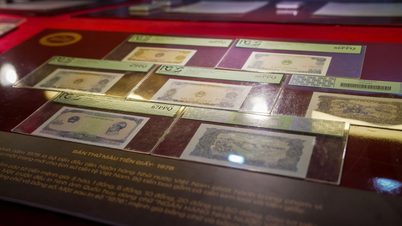 W Ho Chi Minh City po raz pierwszy wystawiono ponad 1500 wietnamskich artefaktów walutowych z różnych okresów