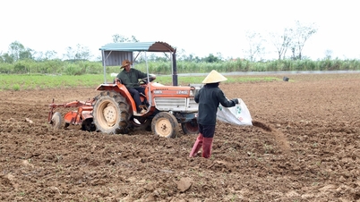 Thời tiết khô ráo, nông dân Nghệ An khẩn trương xuống giống vụ Đông