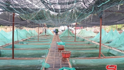 Chieng Lao strives for sustainable poverty reduction