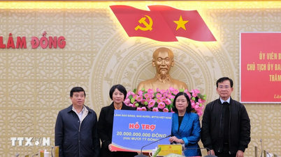 Considere la posibilidad de aportar 800 mil millones de VND para ayudar a Lam Dong a superar las consecuencias de las inundaciones.