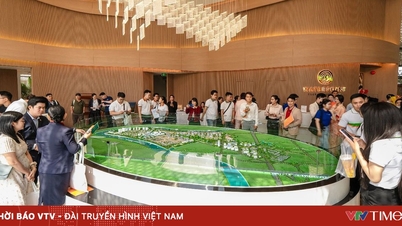 "سولاريا رايز" تبيع 100% من مخزونها: الشقق في المدن التابعة تجذب الشباب