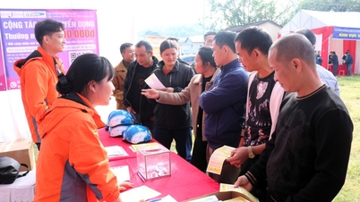 بیش از ۱۰۰۰ نفر در جشنواره مشاوره شغلی و معرفی شغل در کمون ون لانگ شرکت کردند.