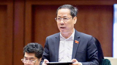 Clarification du mécanisme visant à garantir la transparence et la faisabilité de la loi sur la faillite (modifiée)