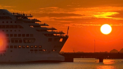 Strømmer til innsjekking med internasjonale superyachter på Ha Long-bukten