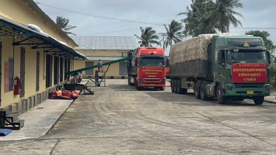 A kormány 700 milliárd VND-t támogat, 4000 tonna rizst és mentőfelszerelést biztosít 4 árvíz sújtotta tartománynak.