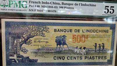 Ho Chi Minh şehrindeki Vietnam para sergisinde ilk banknotlara tanık olun