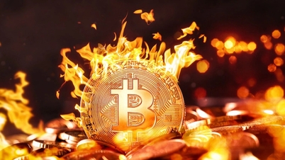 Bitcoin 80.000 dolar bölgesine sert bir düşüş yaşadı, birçok yatırımcı "hesaplarını yaktı"