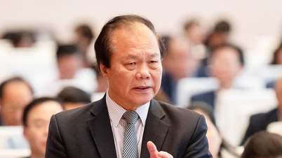 Право должно стать инструментом развития, а не ограничиваться лишь надлежащим управлением.