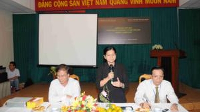 KẾT QUẢ KHAI QUẬT DI CHỈ KHẢO CỔ HỌC HỘI SƠN NĂM 2012