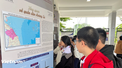 "समुद्री सांस्कृतिक विरासत" महोत्सव मूल्यों का प्रसार करता है, होआंग सा की संप्रभुता की पुष्टि करता है