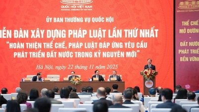 Kültür ve toplum yasalarının mükemmelleştirilmesi çalışmaları, kurumların mükemmelleştirilmesine, ulusal kimliğe sahip ileri bir Vietnam kültürünün inşasına ve geliştirilmesine katkıda bulunur.