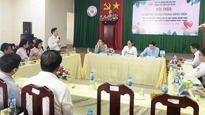 به اشتراک گذاری تجربیات در زمینه اجرای مدل‌های مددکاری اجتماعی در بیمارستان‌ها