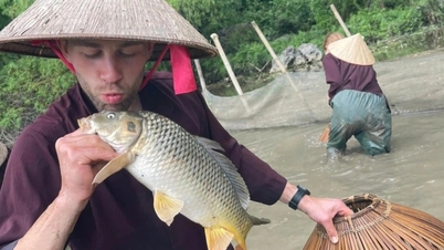 서양 관광객들은 베트남에서 농부가 되는 것을 좋아합니다. 아침에는 벼를 심고 오후에는 들소를 치는 것을 좋아합니다.